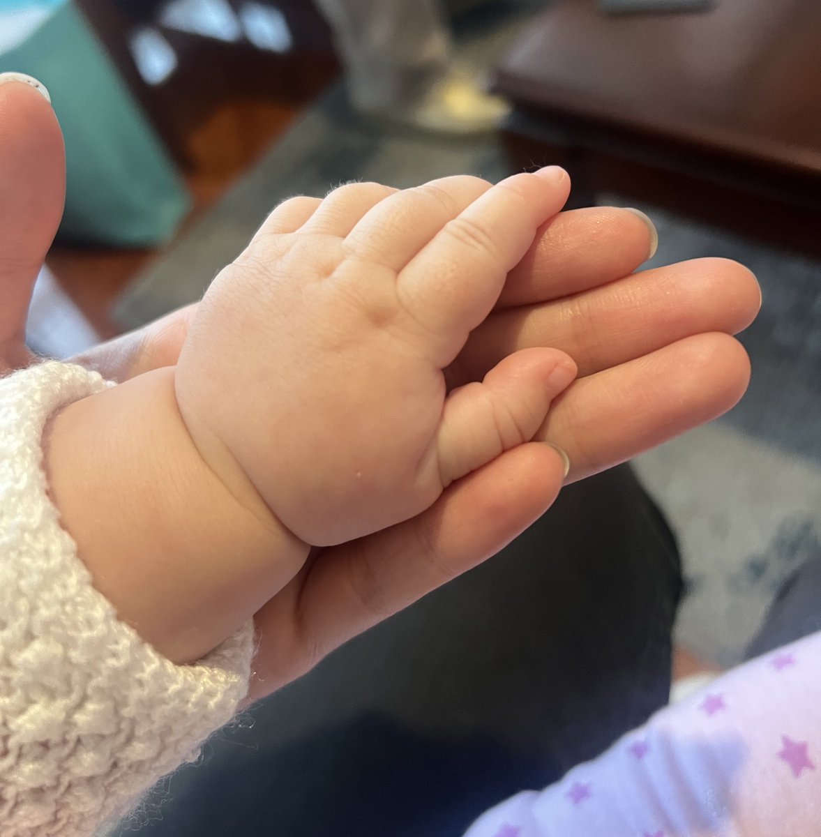 Pau Panderetas tweet media