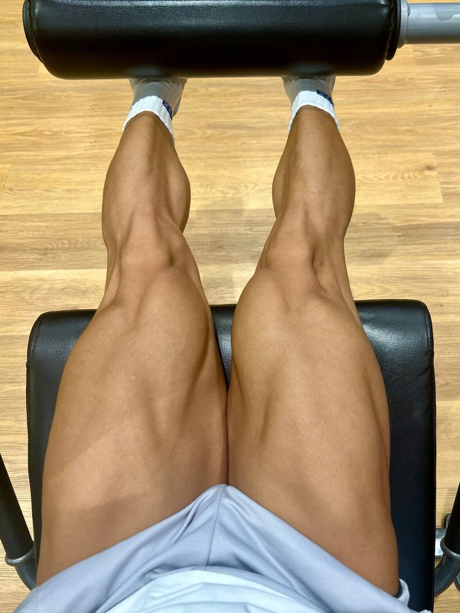 撸铁猛虎 tweet media