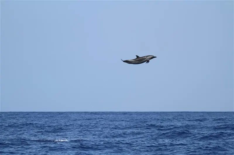 ALBΞRT MacGloan tweet media