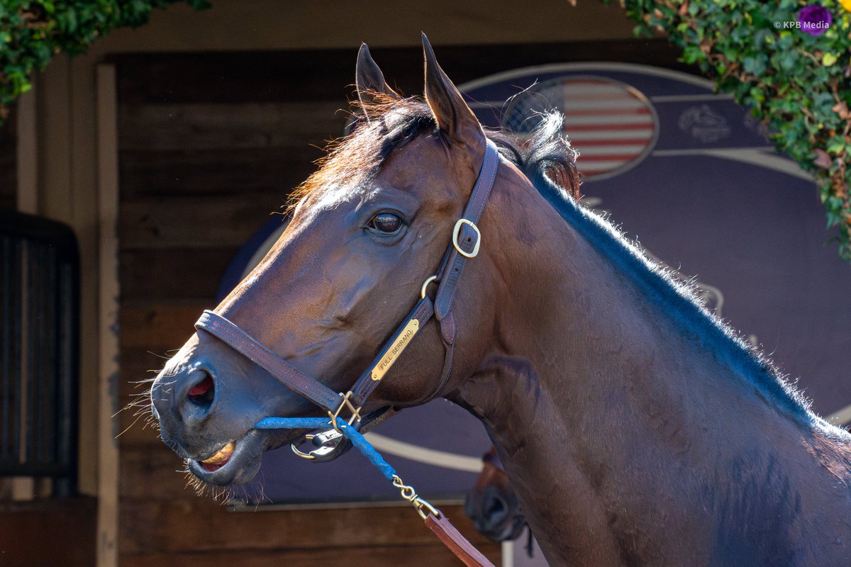 Champs of the Track tweet media