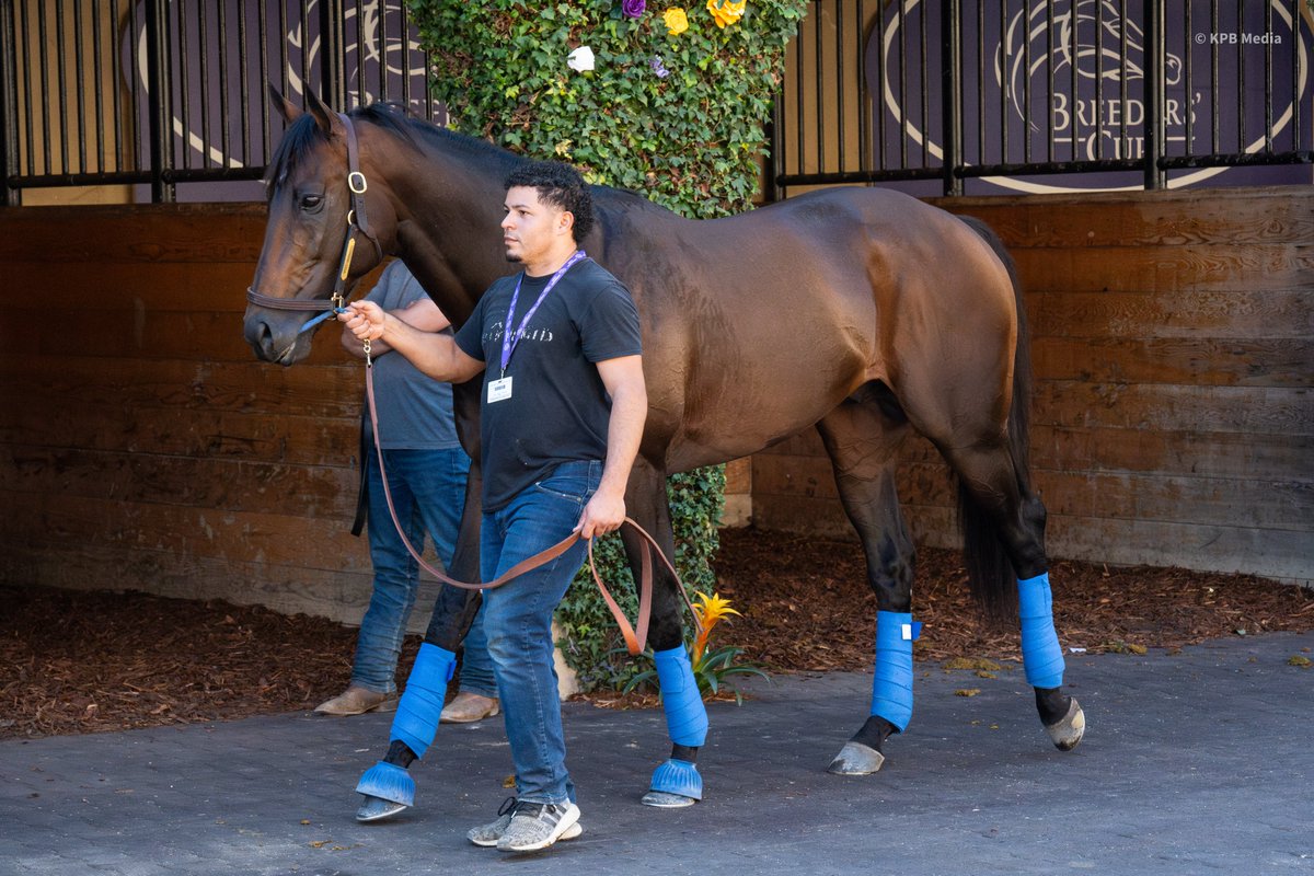 Champs of the Track tweet media