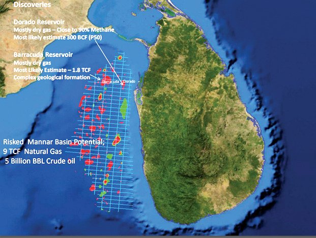 Ceylon Catalyst 🇱🇰 tweet media