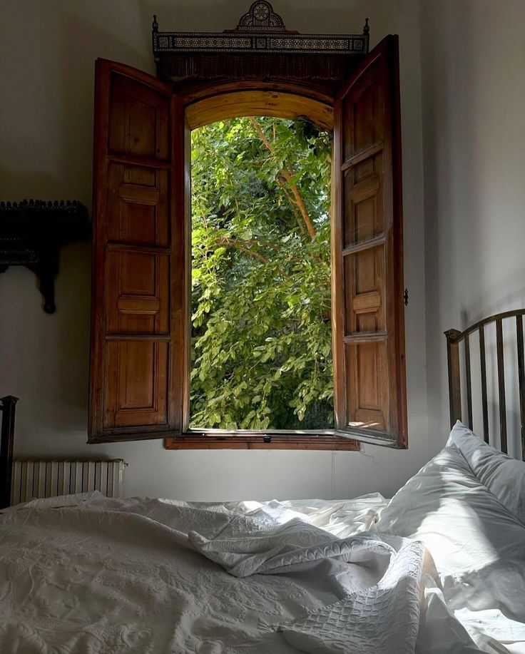 𝒆𝒍𝒚𝒓𝒂 tweet media