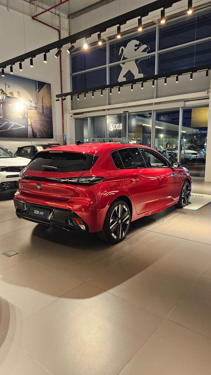 Mauricio Plastina tweet media