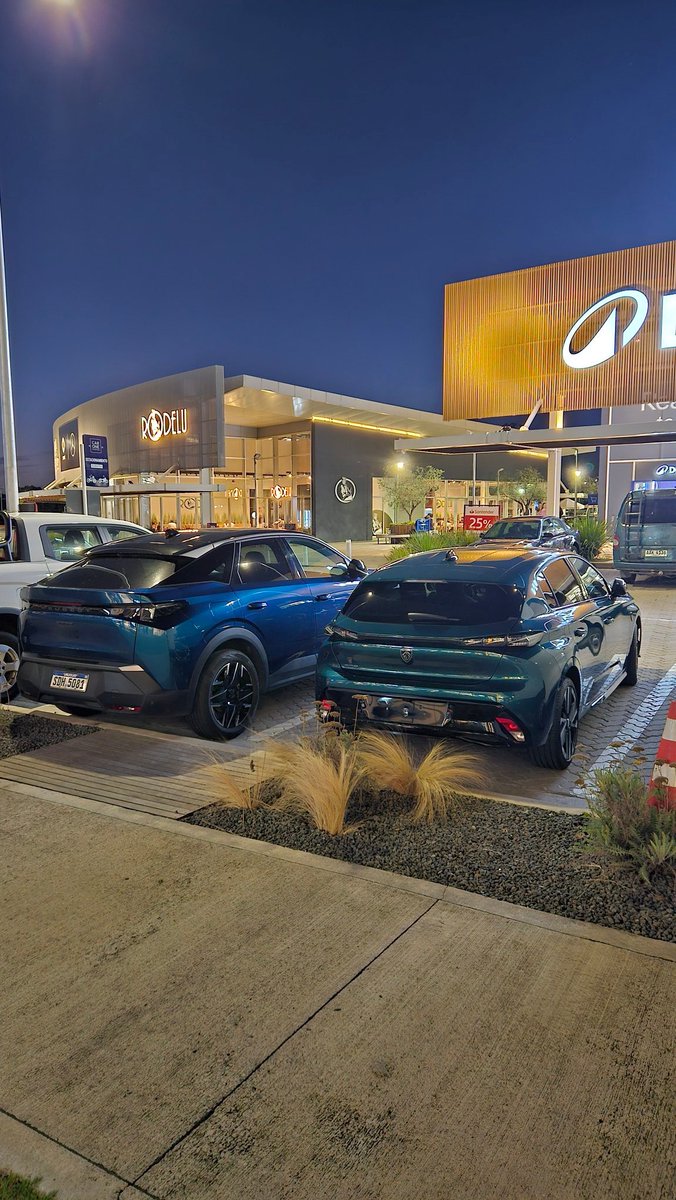 Mauricio Plastina tweet media