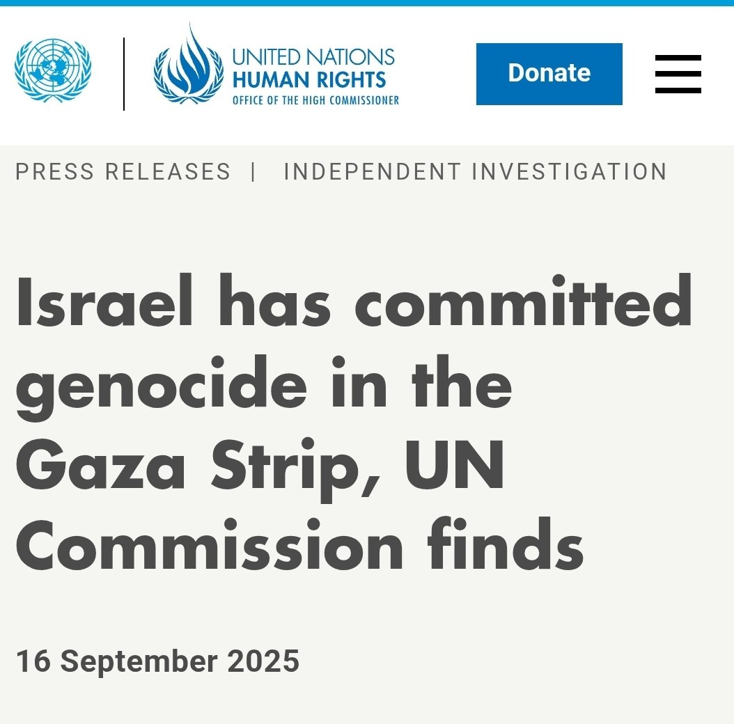 Nimer Sultany tweet media