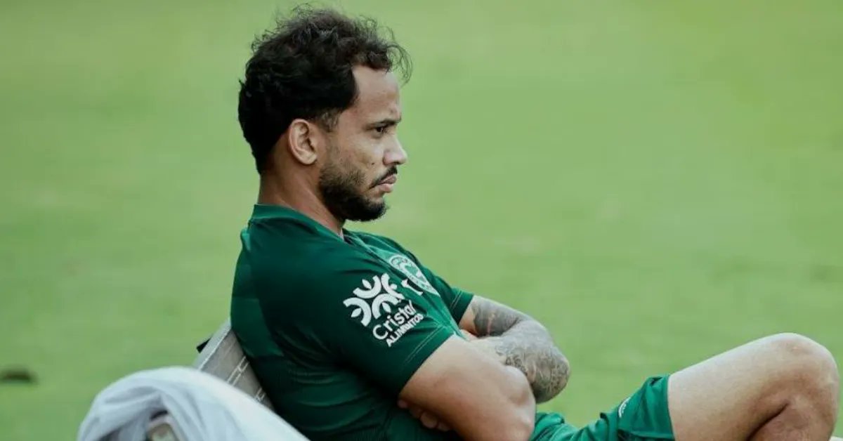 Ana Lívia Dias tweet media