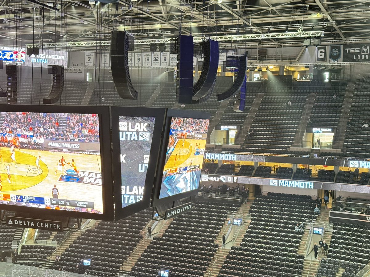 Tim the Mammoth 🦣 tweet media