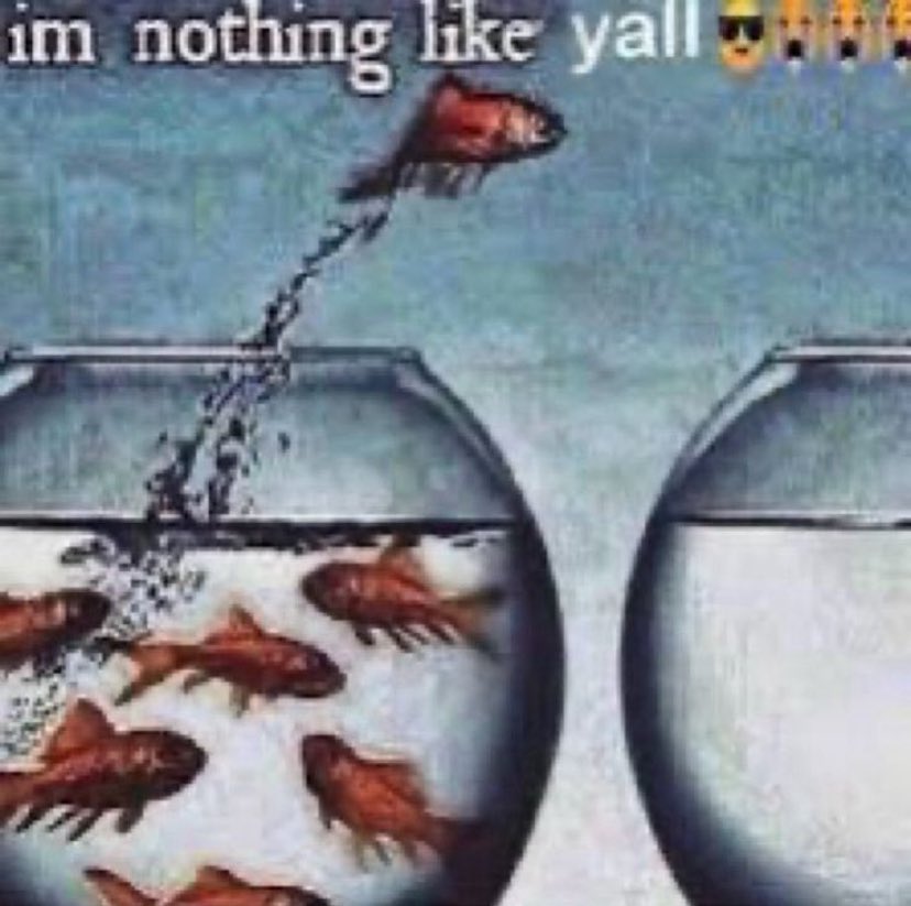 muddy🐠⋆.˚ | bubblernation ceo 🫧 tweet media