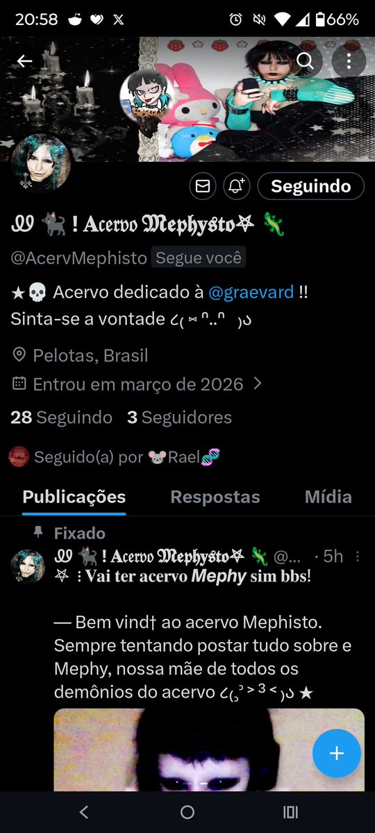 mephisto 🦎 tweet media