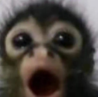 fer 🧉🤍 tweet media