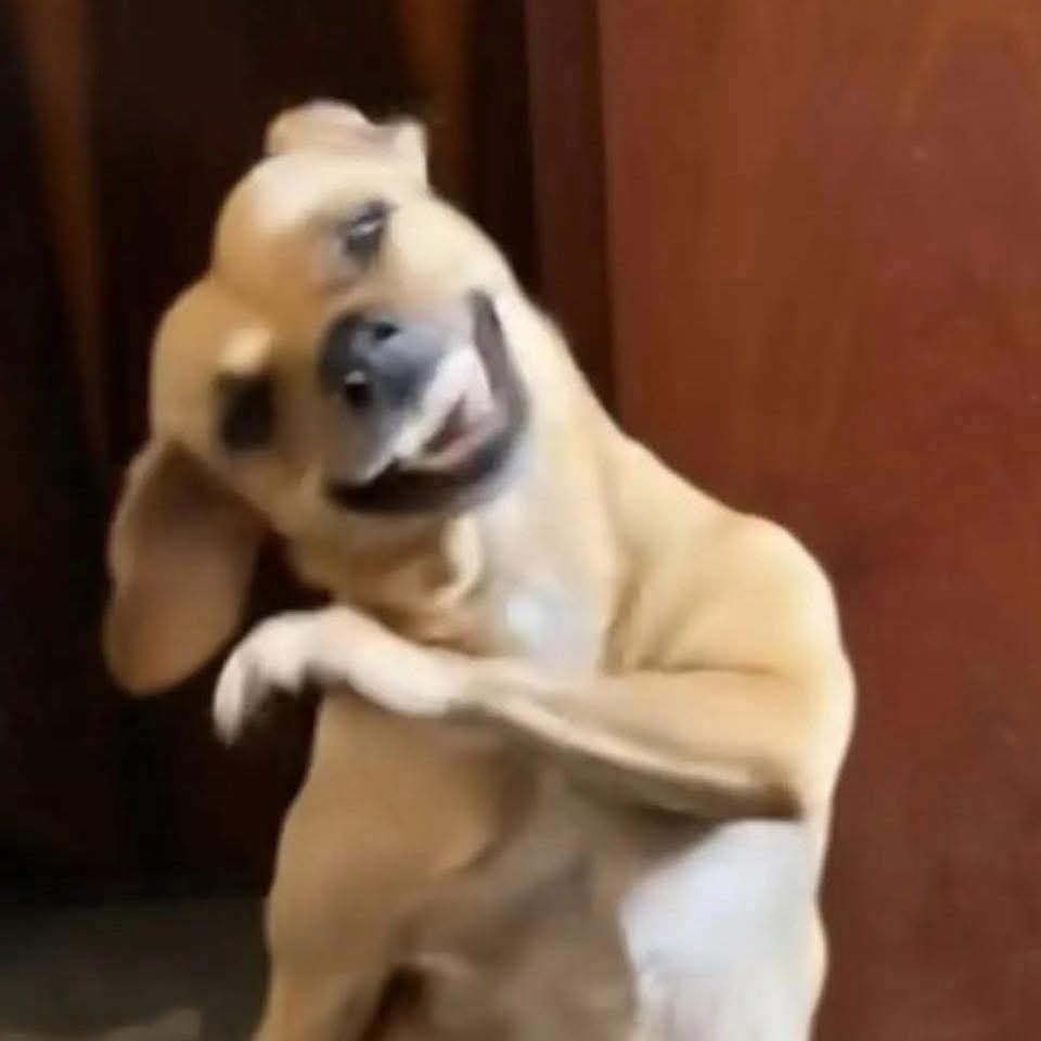 anna 💫 tweet media