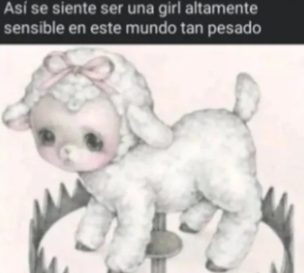 karen novia de ale tweet media