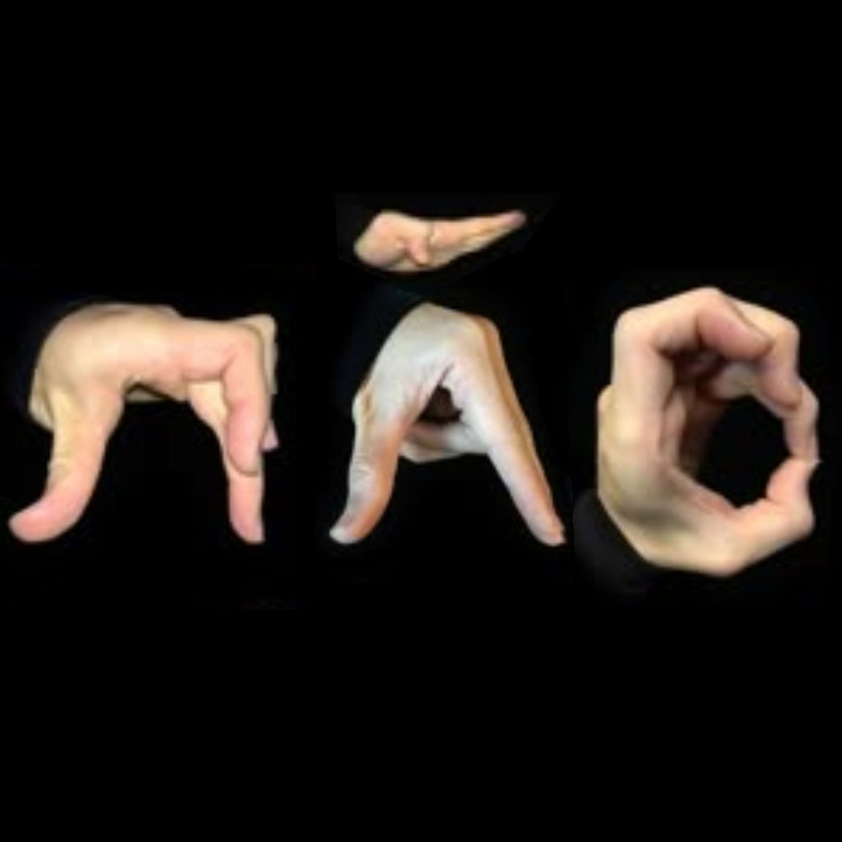 O Gal Já Apareceu Hoje? tweet media