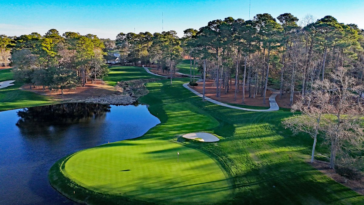 Myrtle Beach Trips tweet media