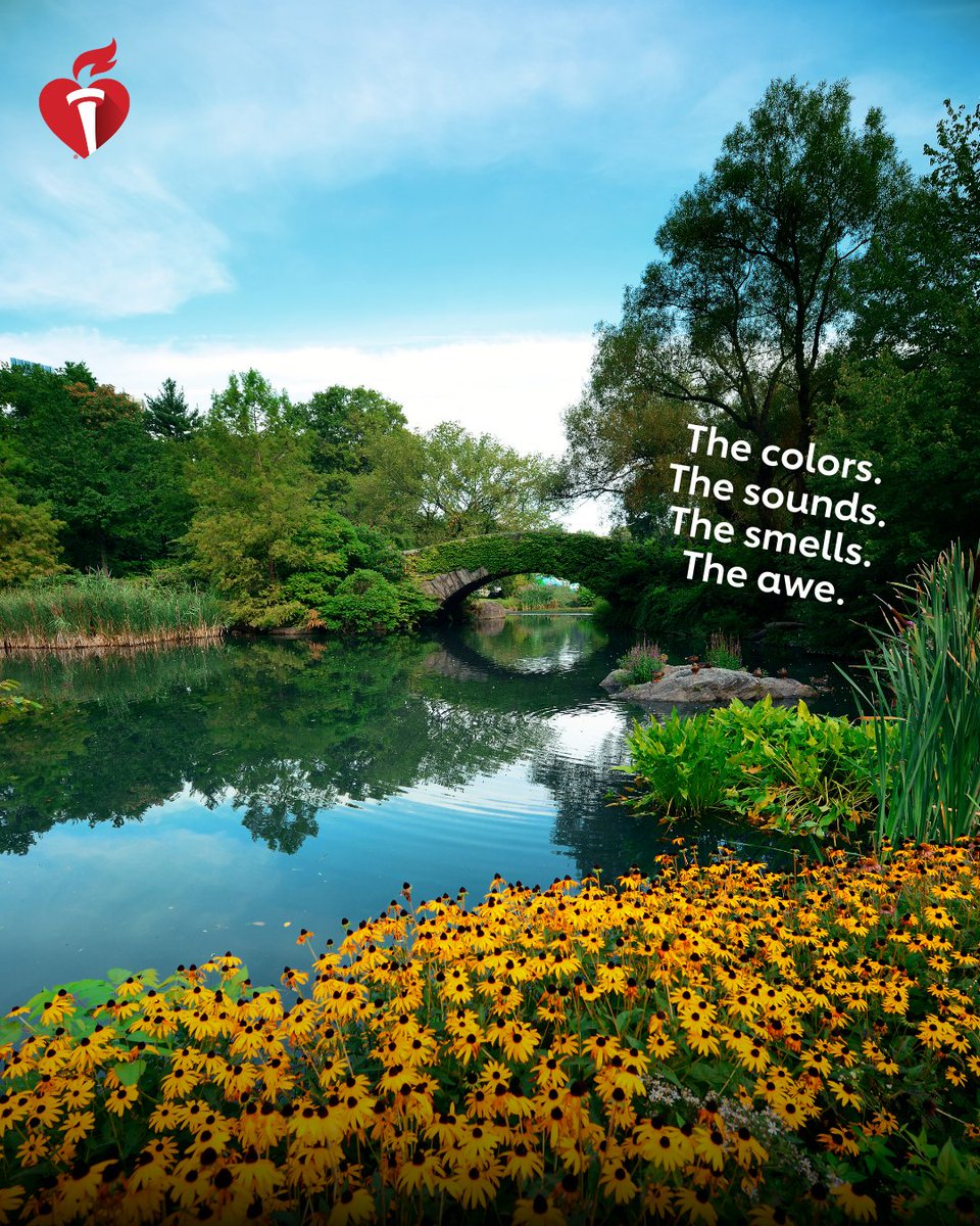 American Heart Association tweet media