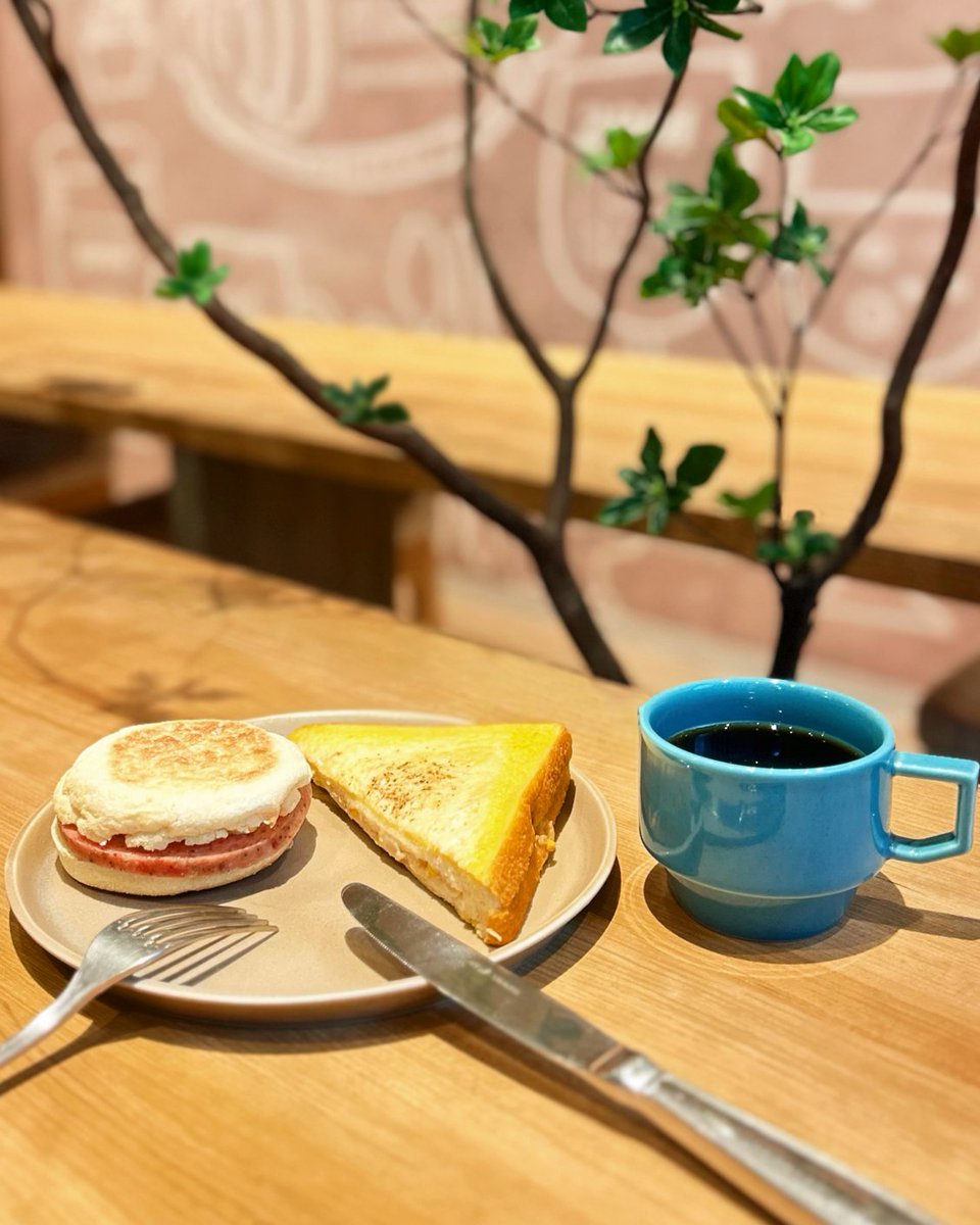 プロント tweet media