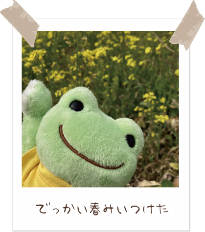 かえるのピクルス/pickles the frog tweet media
