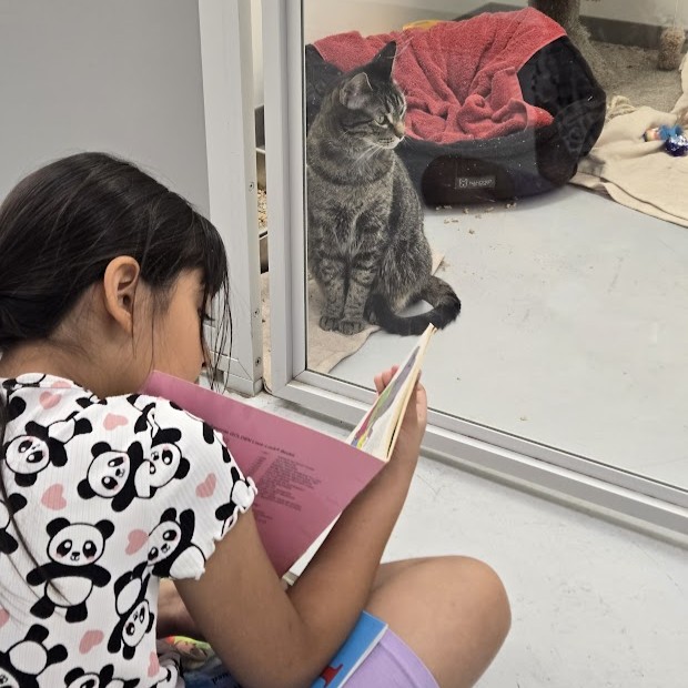 Calgary Humane Society tweet media