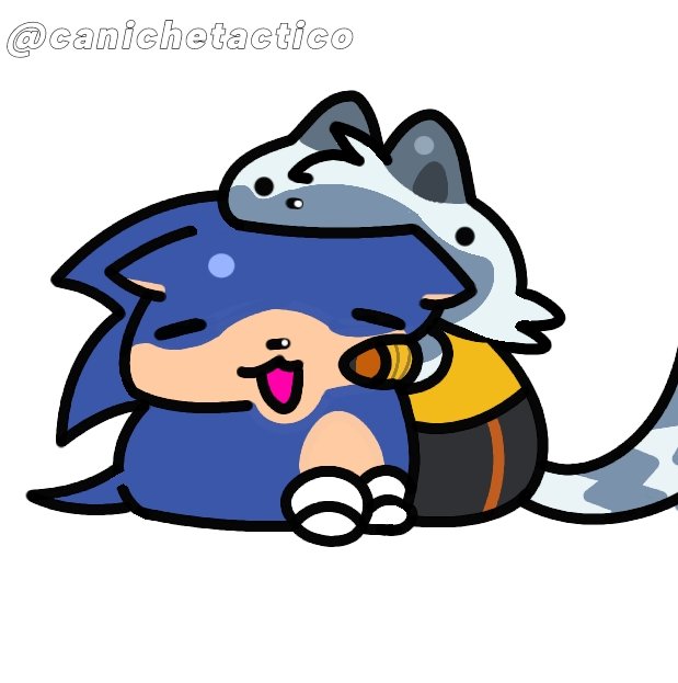 un boludito más ➕ tweet media