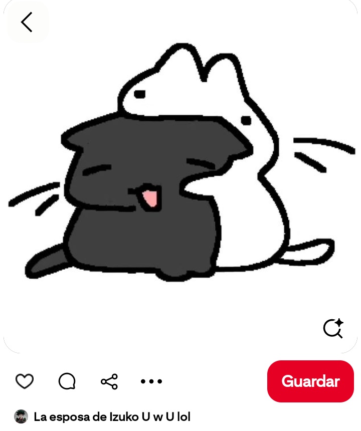 un boludito más ➕ tweet media