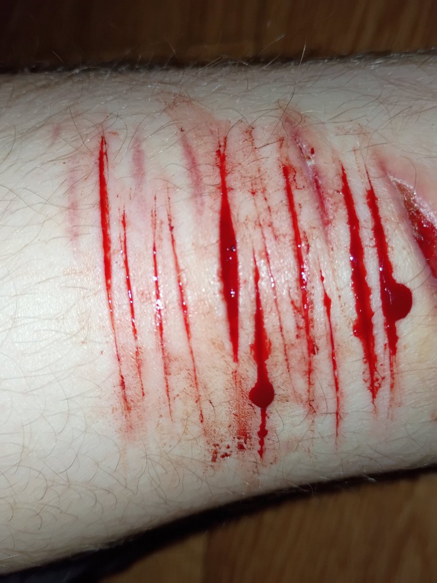 Caiden shedtwt tweet media