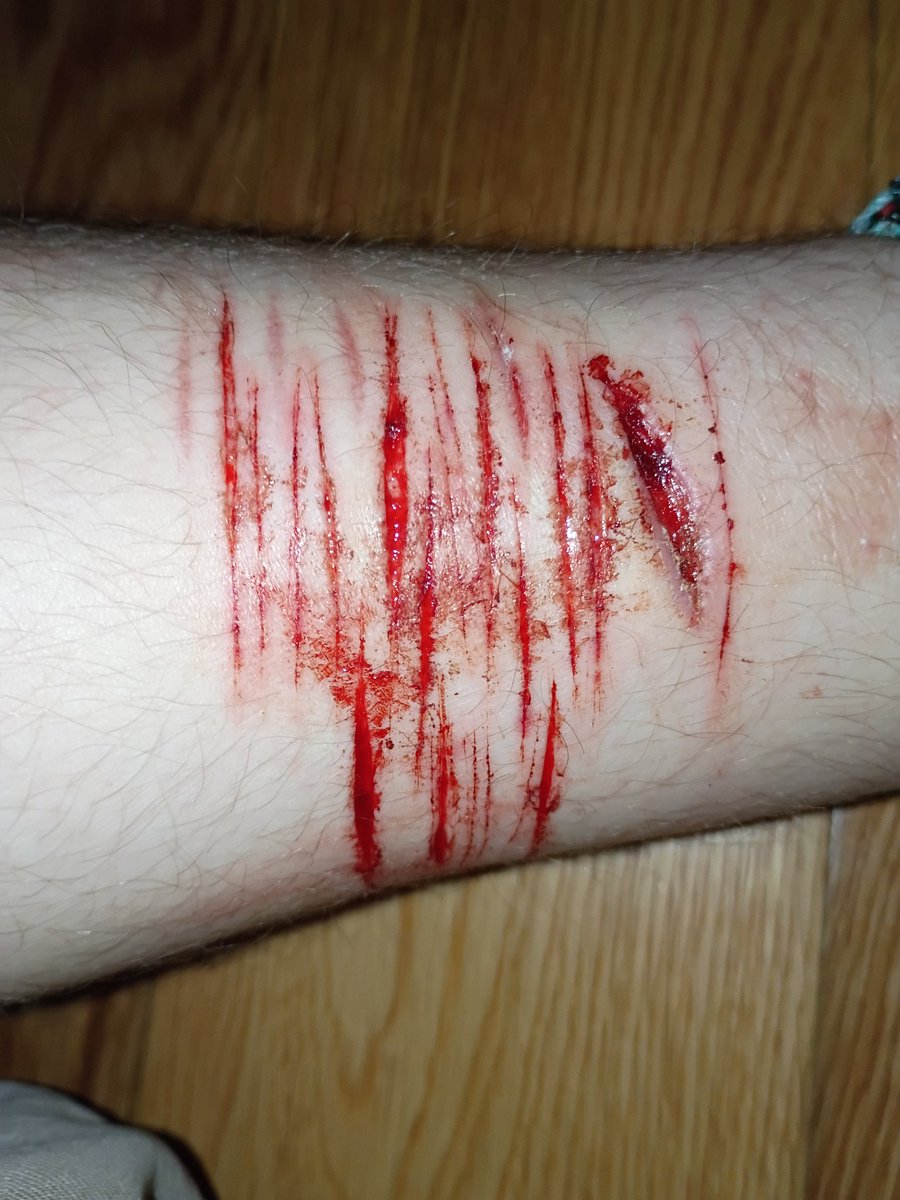 Caiden shedtwt tweet media