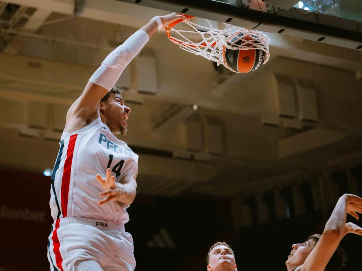 Pro Insight tweet media