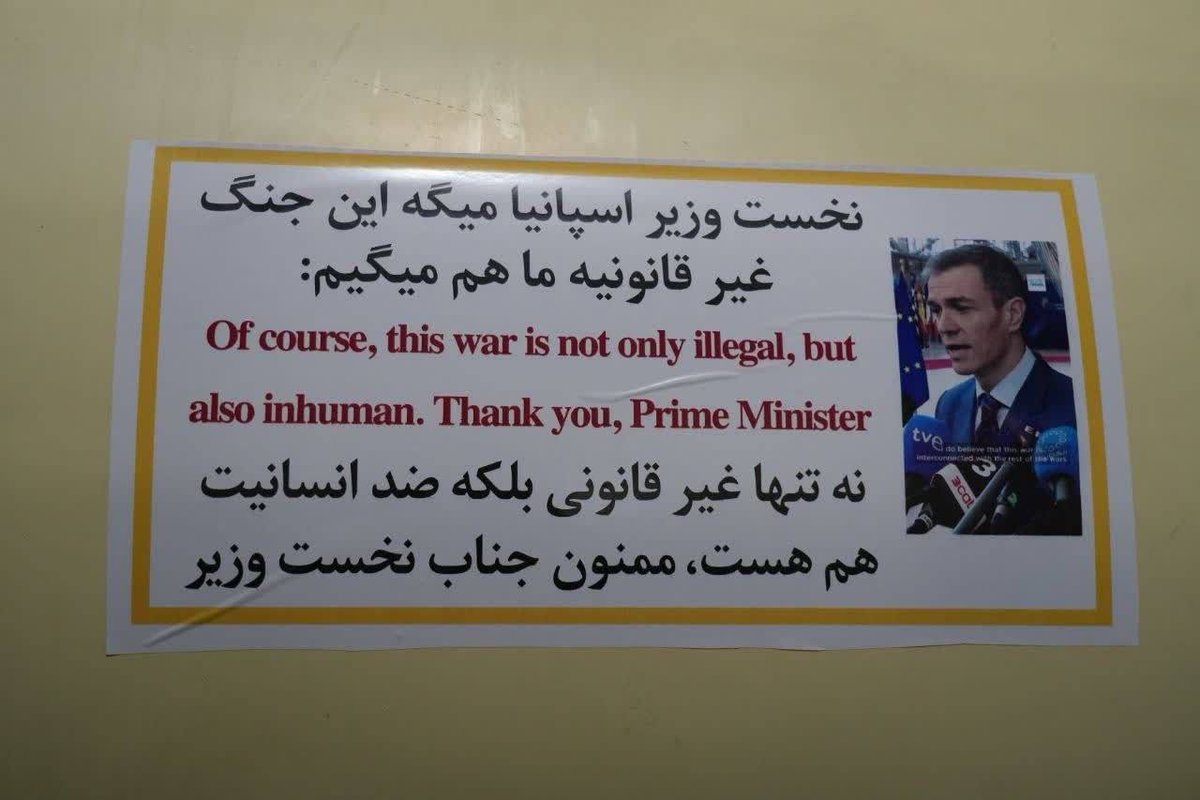 肌肉猫Elva🐱musclecat tweet media