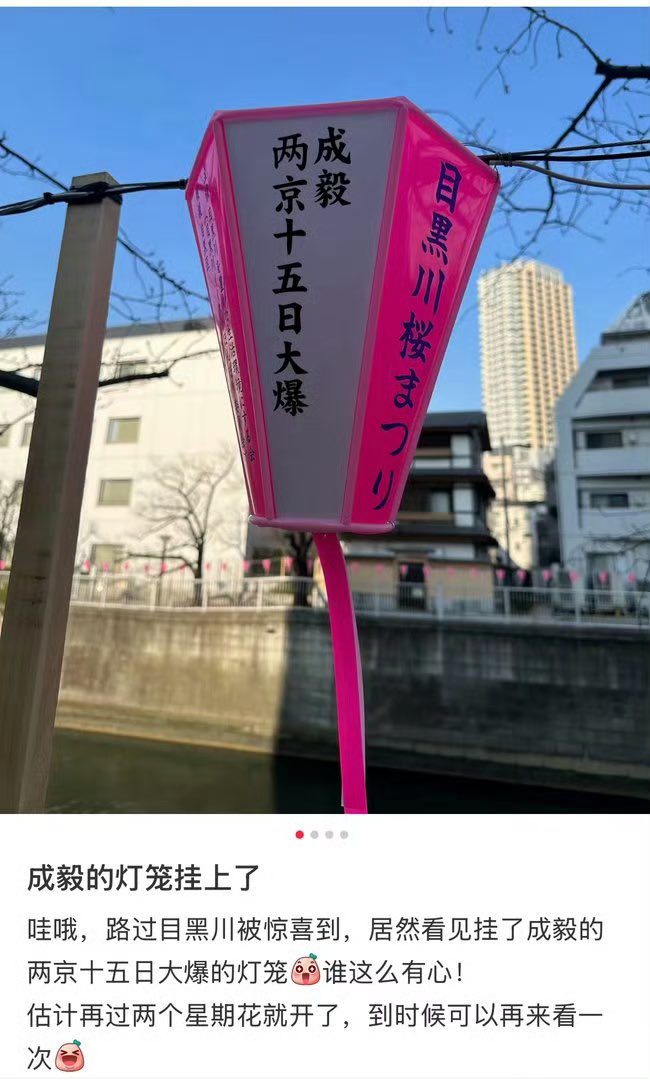 Doozy Bug ❤️ ChengYi tweet media