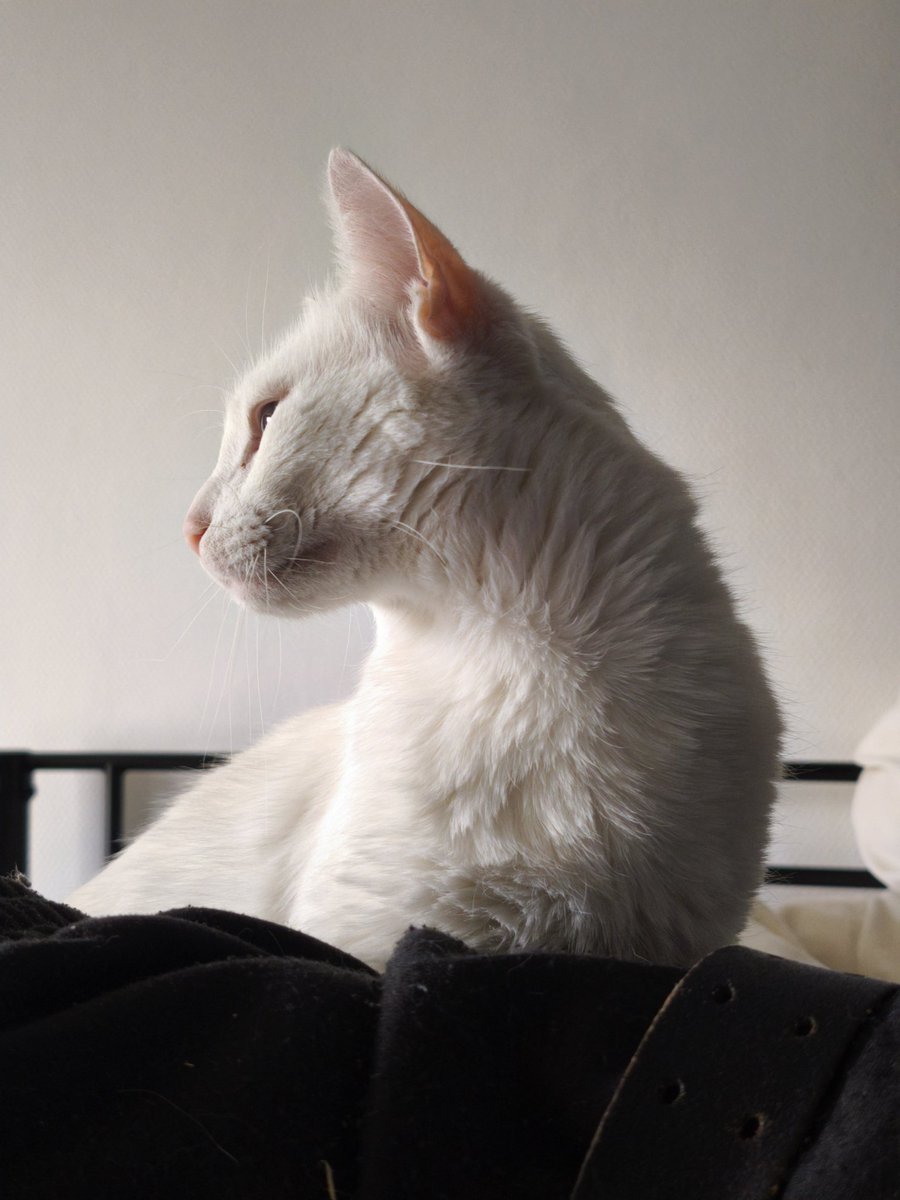 Mafa 🌻☁️ tweet media