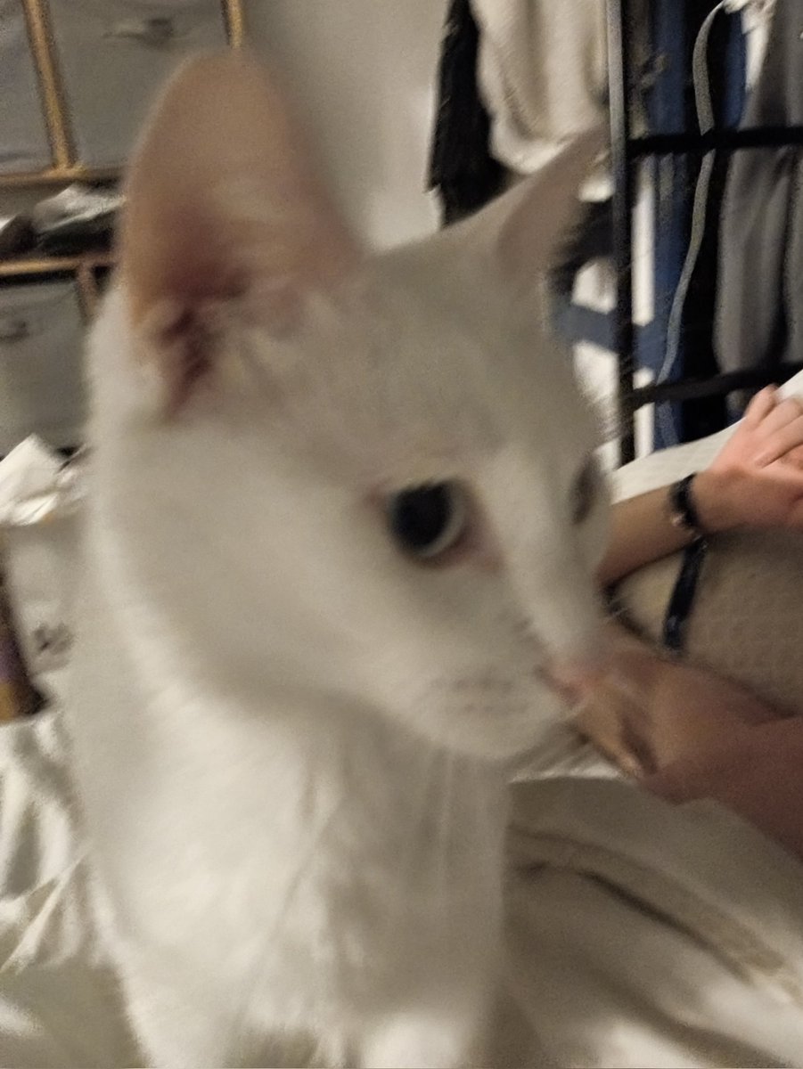 Mafa 🌻☁️ tweet media