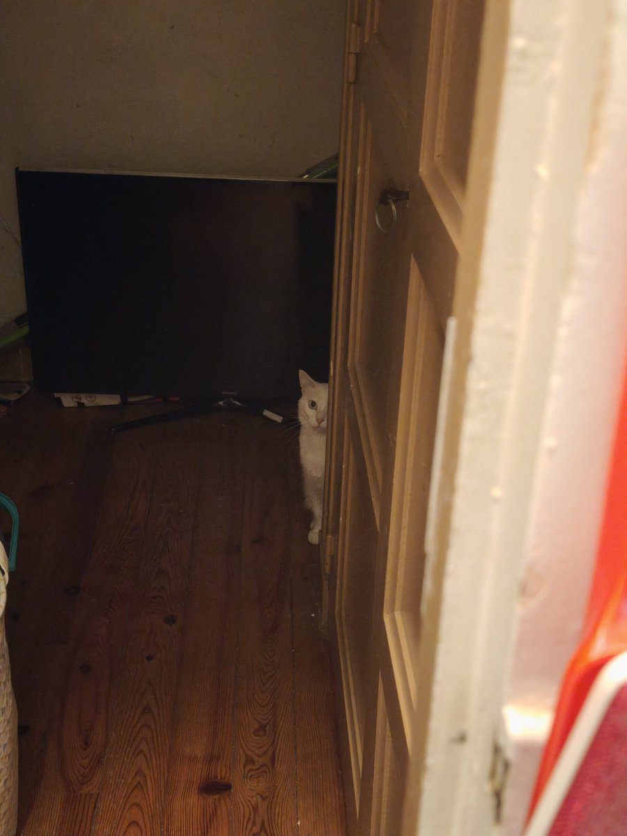 Mafa 🌻☁️ tweet media