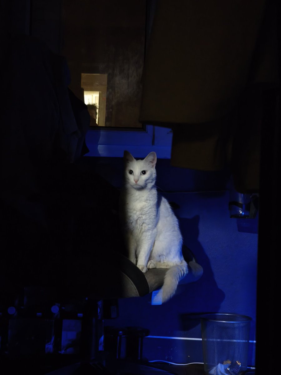 Mafa 🌻☁️ tweet media