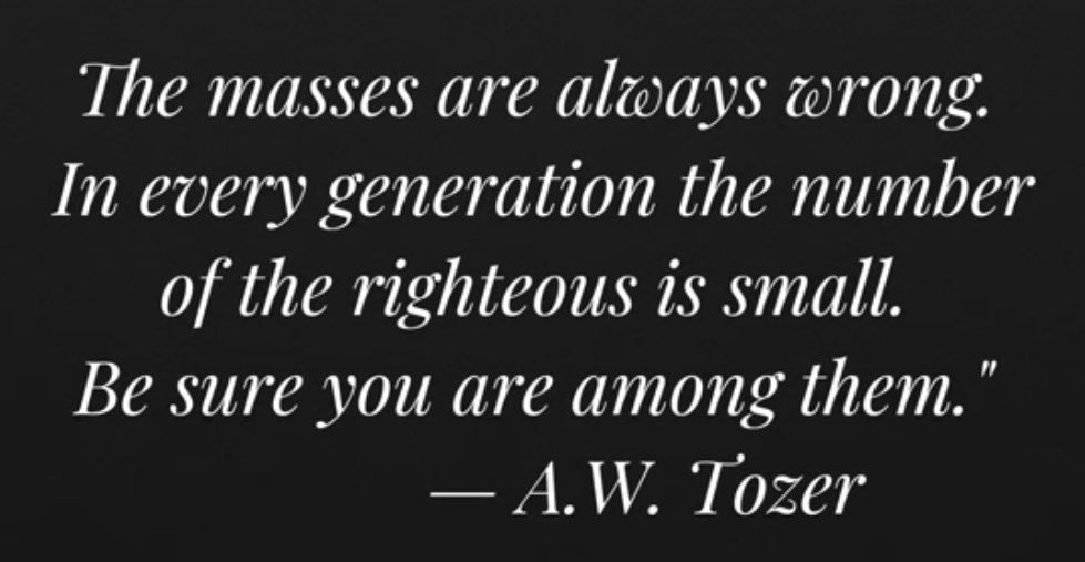 David Ynzunza tweet media