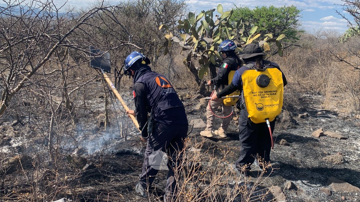 Coordinación de Protección Civil del Estado de Qro tweet media