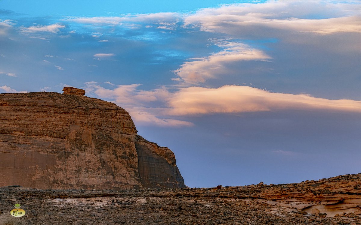 محمد بن أحمد الفريدي tweet media