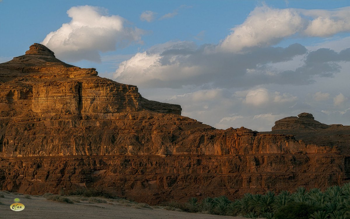 محمد بن أحمد الفريدي tweet media