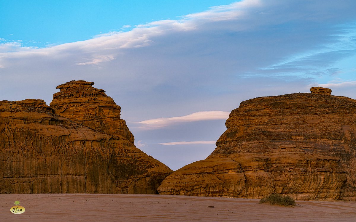 محمد بن أحمد الفريدي tweet media