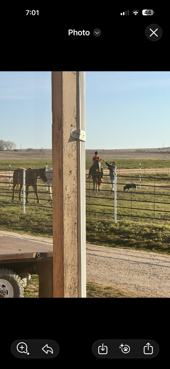 Jgray695 tweet media