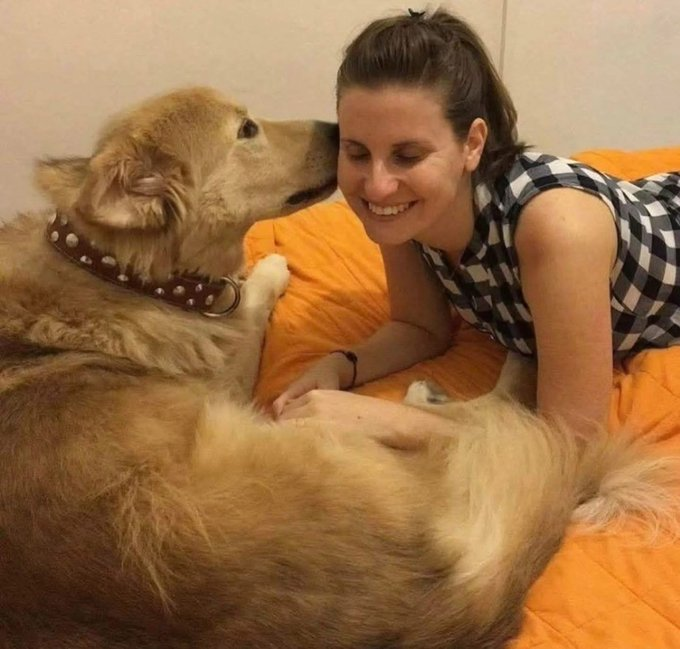 Vivid.🇮🇱 tweet media