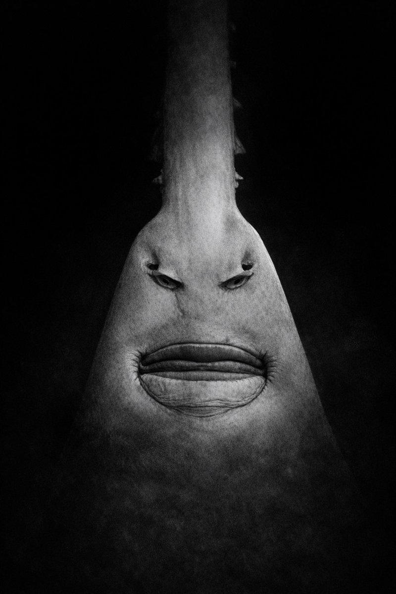 jimmy heaters tweet media