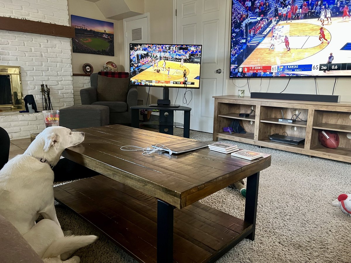 Winners_823's tweet photo. Molly dialed in for #MarchMadness https://t.co/qguxuRBmUq