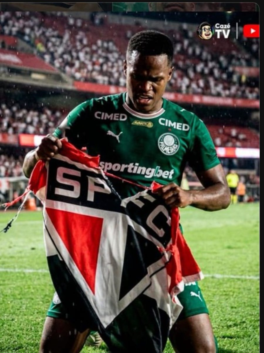 FRENTE DEMOCRÁTICA EM DEFESA DO SÃO PAULO FC tweet media