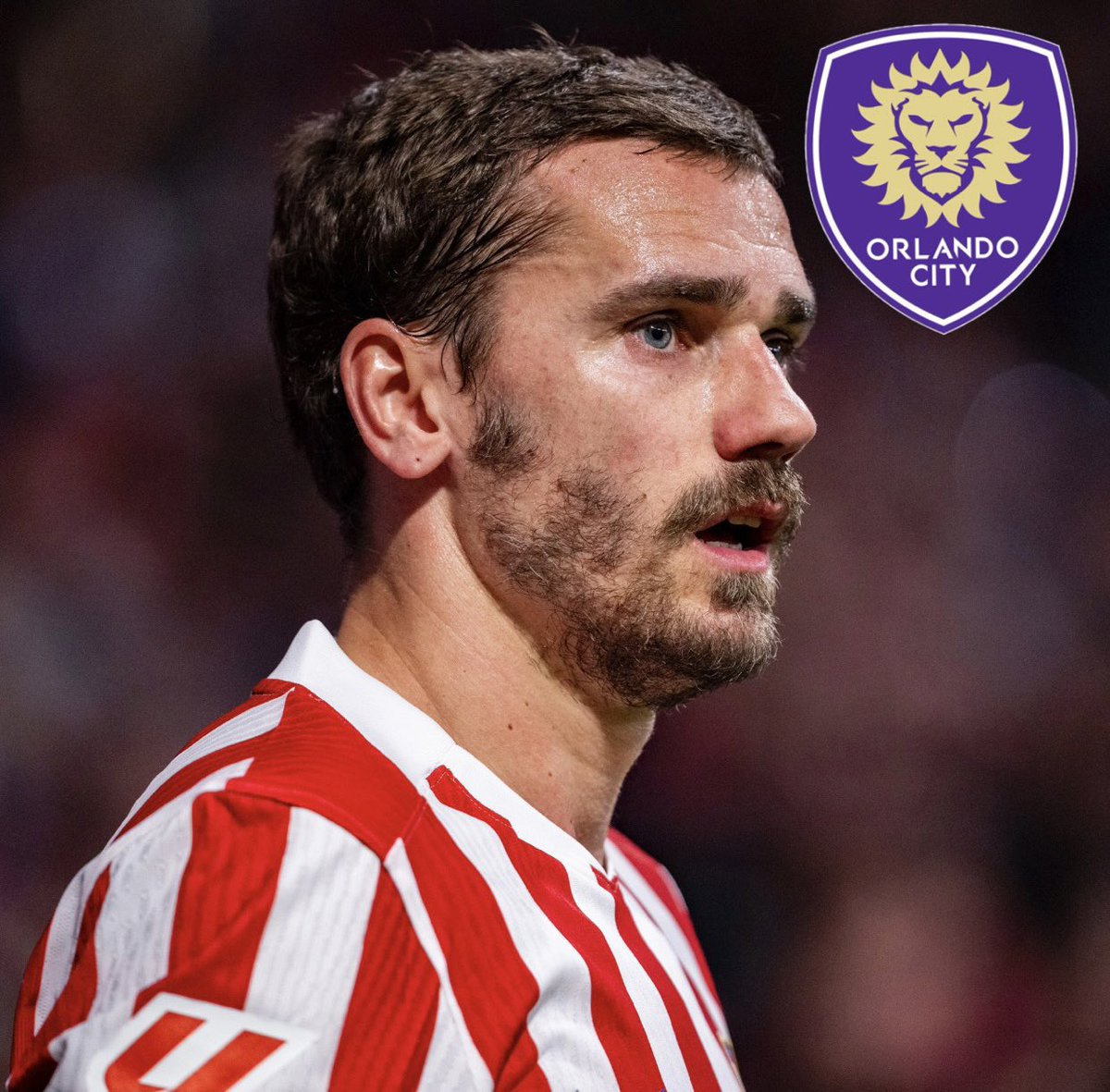 Atletico Universe tweet media