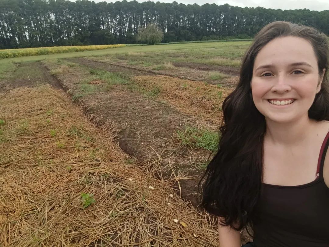 phenoglad1's tweet image. 🌸🏵️ Domingouu!! E a Equipe PhenoGlad realizou logo cedo avaliação de emergência nos canteiros de dálias do Ensaio Brasileiro de Dália de Corte (EBDC) na Universidade Federal de Santa Maria.🏵️

👉👉 Hoje a Equipe PhenoGlad da (UFSM) realizou avaliação de emergência #EBDC #brasil