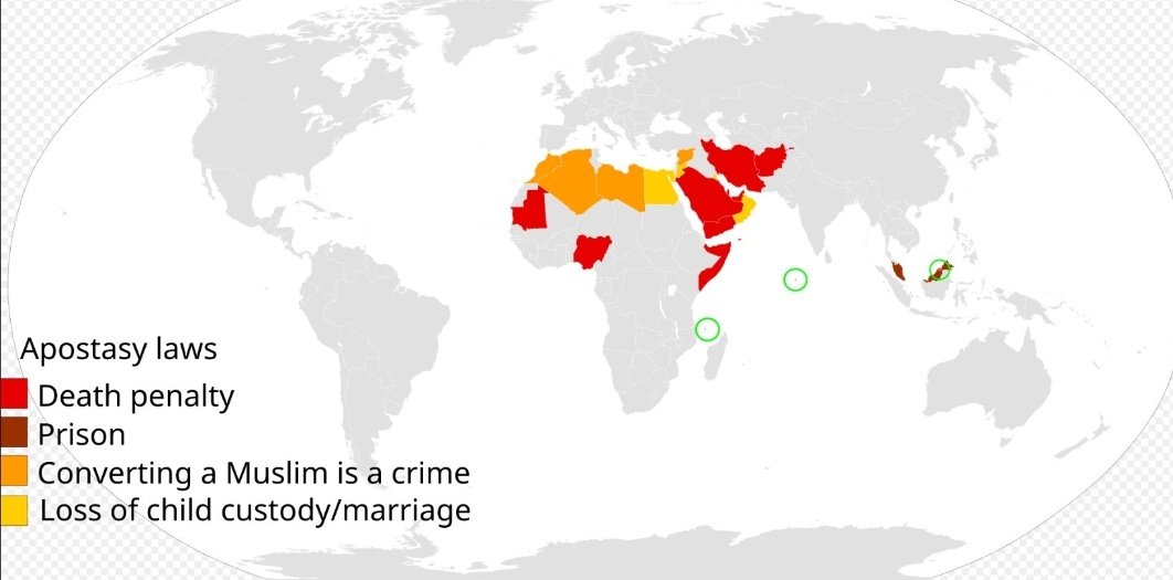 DISIDENTE tweet media
