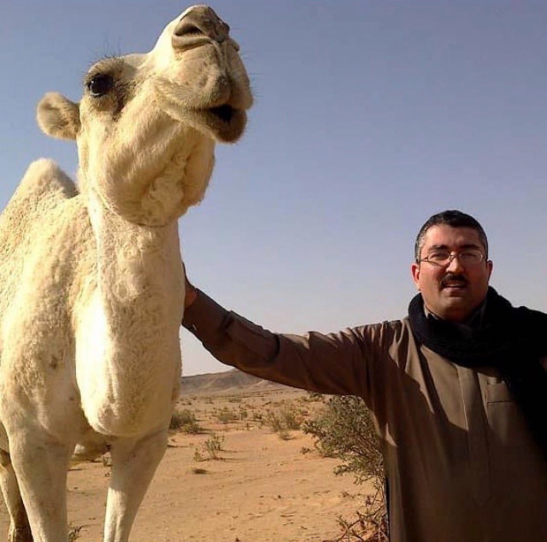 ابوراشد tweet media