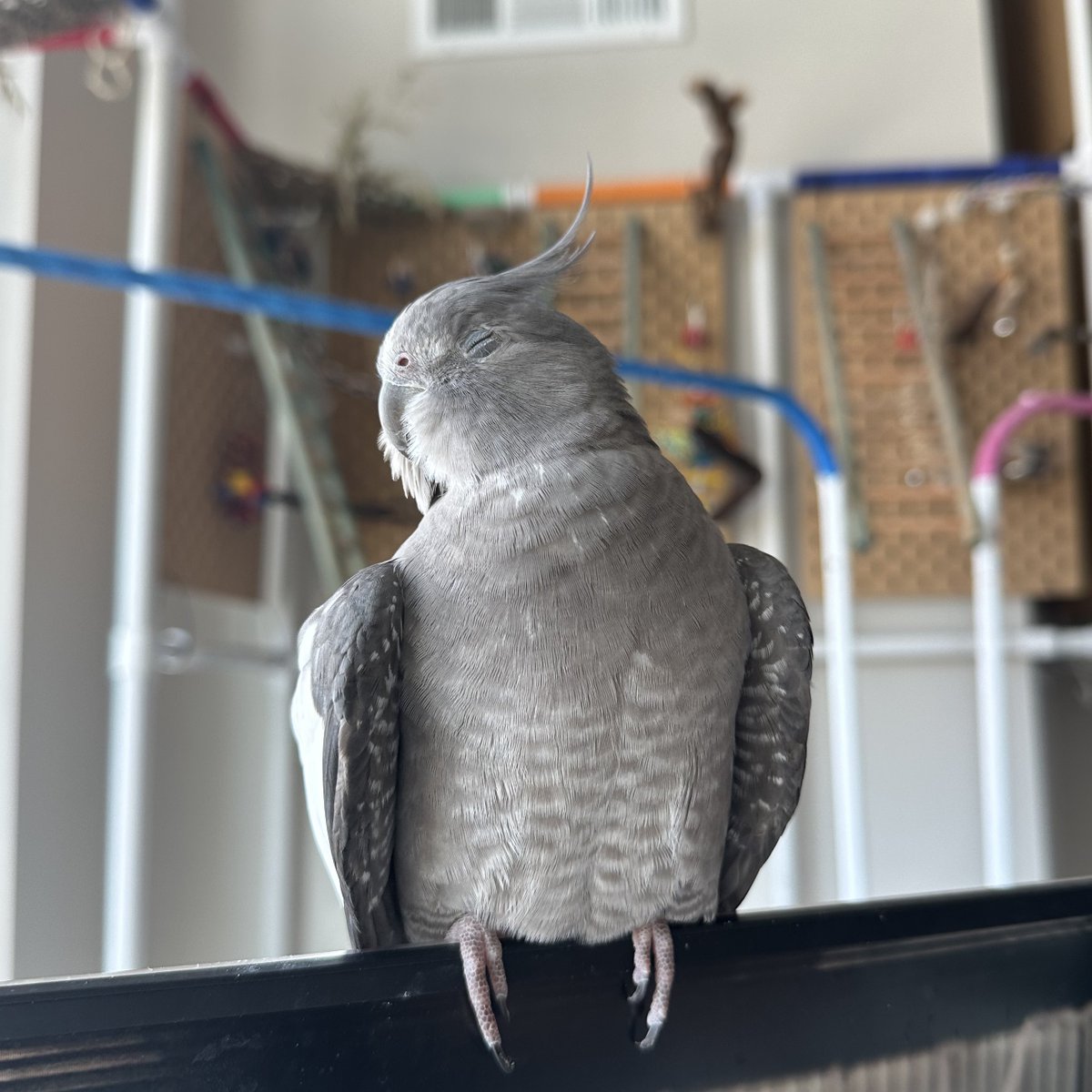 Mike Sands tweet media