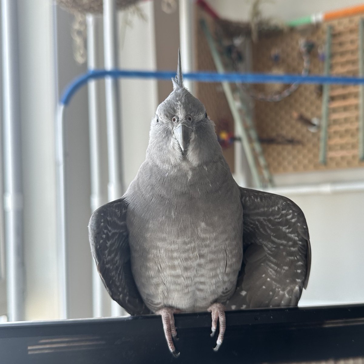 Mike Sands tweet media